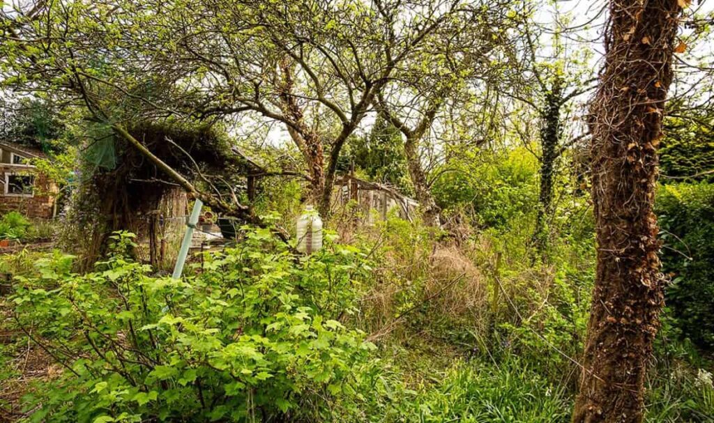 Green Waste Collection Service London