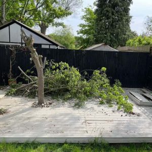 Decking Removal